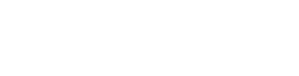 i4DS